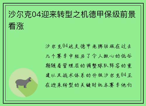 沙尔克04迎来转型之机德甲保级前景看涨