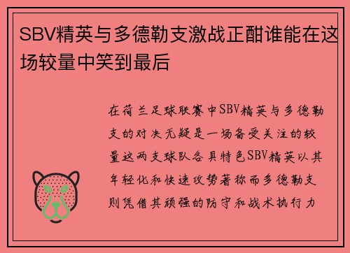SBV精英与多德勒支激战正酣谁能在这场较量中笑到最后