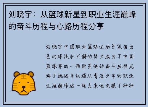 刘晓宇：从篮球新星到职业生涯巅峰的奋斗历程与心路历程分享
